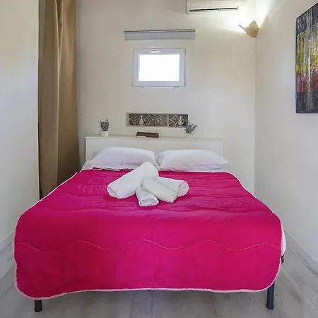 Pet Friendly In Marsala