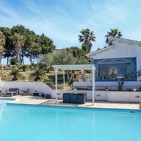 Pet Friendly In Marsala Parrinello